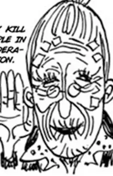 https://cdn.myanimelist.net/images/characters/15/591550.jpg